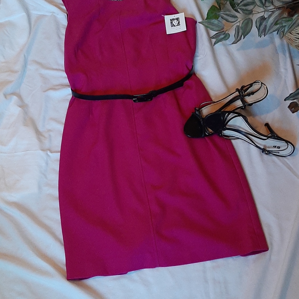 Pink sleeveless sheath dress  NWT